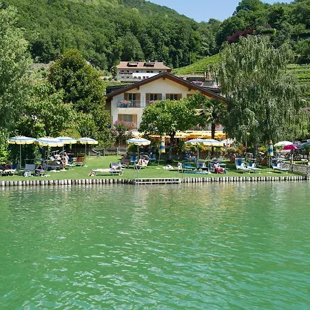 Klughammer * Caldaro